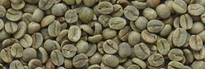 Rohkaffee Bio Peru